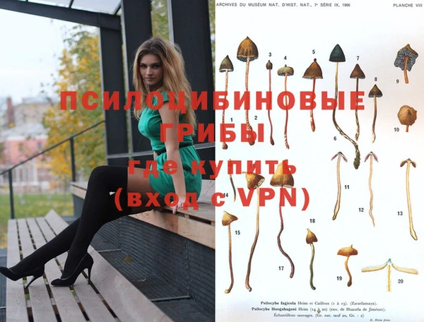 каннабис Абинск